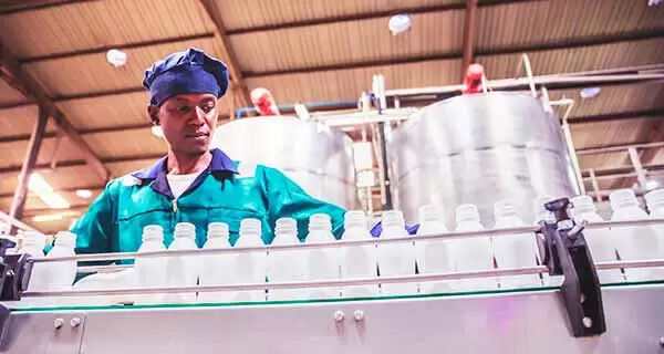 Dairy Applications